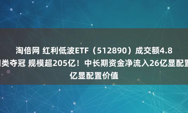 淘倍网 红利低波ETF（512890）成交额4.84亿同类夺冠 规模超205亿！中长期资金净流入26亿显配置价值